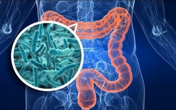 （示意圖：互聯網）