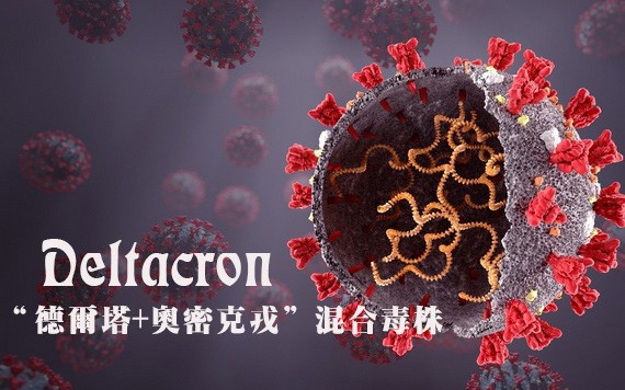 （示意圖：田升）