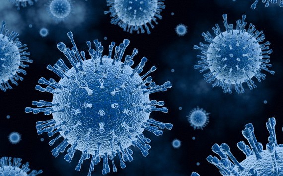 （示意圖：互聯網）