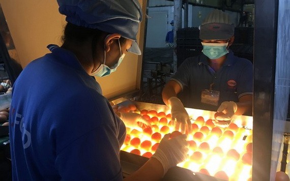 永成達公司在第四波疫情期間採用“三就地”生產模式。