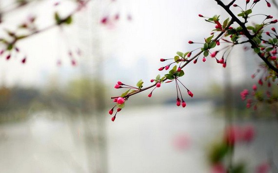 （示意圖：互聯網）