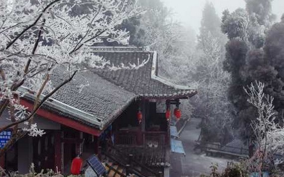 （示意圖：互聯網）