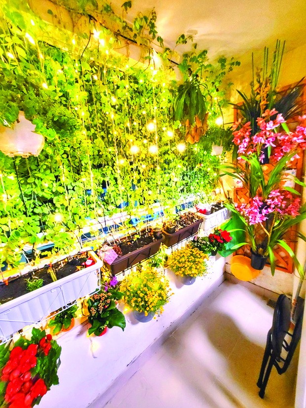 居家自娛自樂 ảnh 2