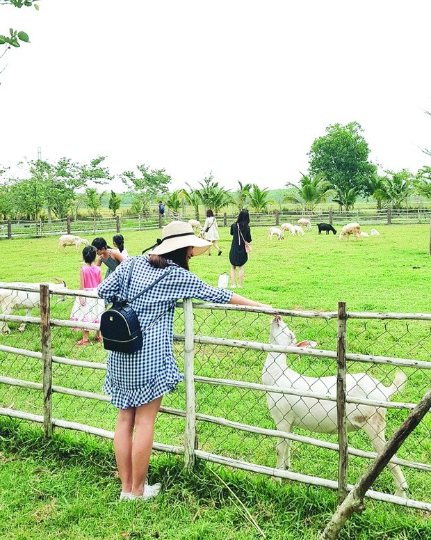 “綠農莊”─體驗村野純樸生活 ảnh 1