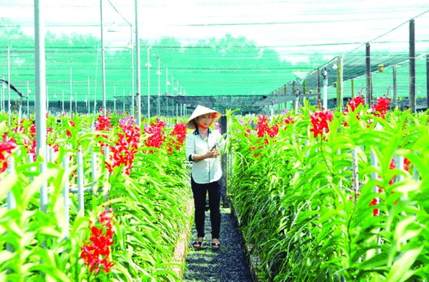 “綠農莊”─體驗村野純樸生活 ảnh 2