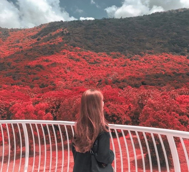 春天來到西區浮雲嶺 ảnh 1