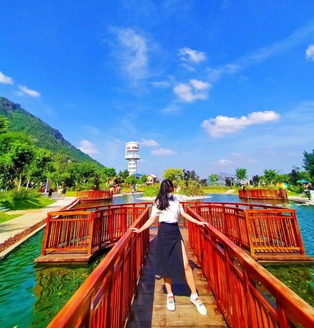 晨星集團再收購多家企業 ảnh 6