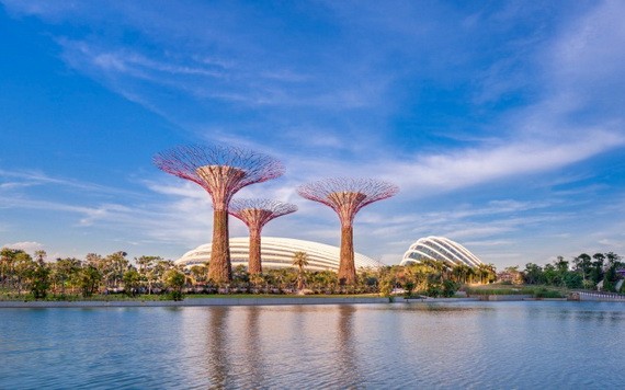 濱海灣花園的美景。