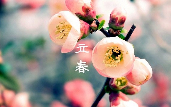 （示意圖：互聯網）