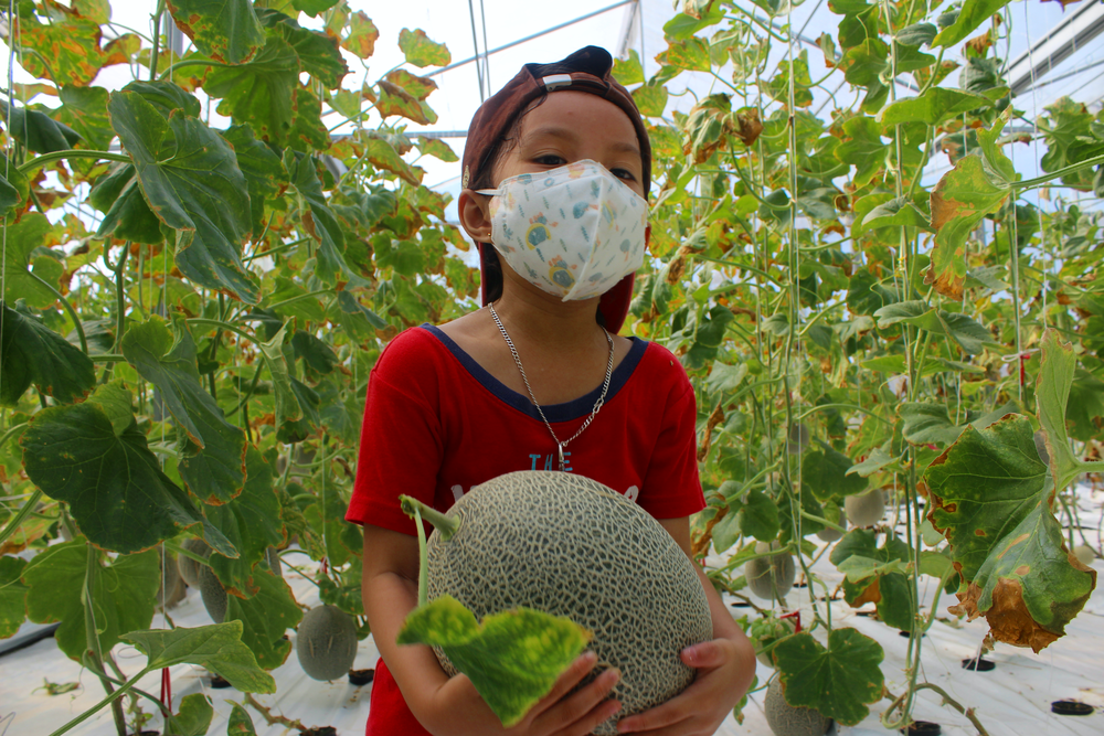 “無桌椅學校”吸引學生 ảnh 1