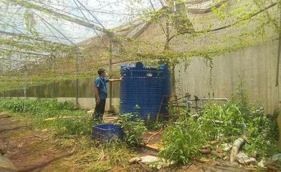 同奈省科學技術廳副廳長被捕