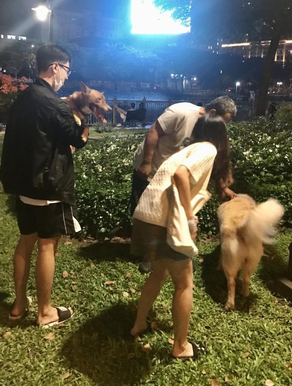 養寵者帶著狗狗到公園玩。