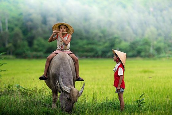 （示意圖：互聯網）