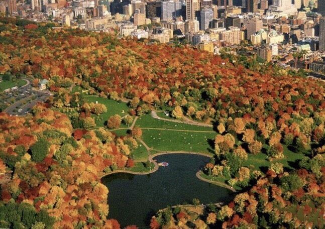 皇家山被評為20個世界最佳城市公園之一。