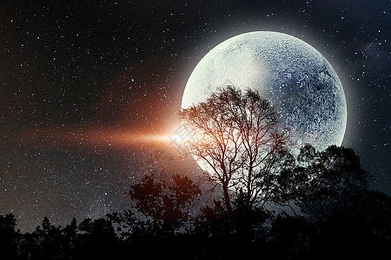 （示意圖：互聯網）