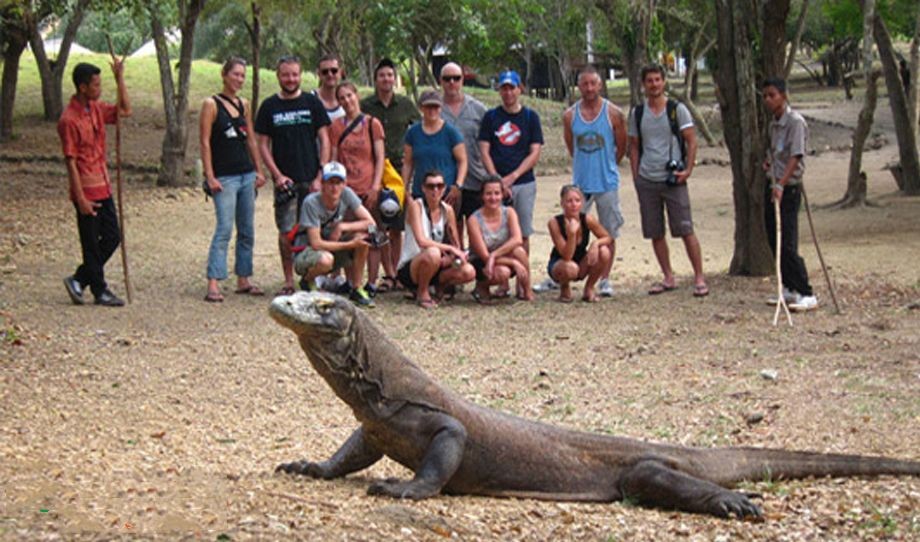 遊客與瀕臨滅絕的科莫多龍合照。