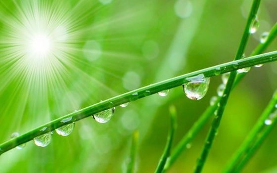 （示意圖：互聯網）