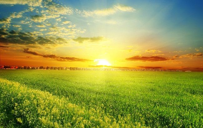 （示意圖：互聯網）