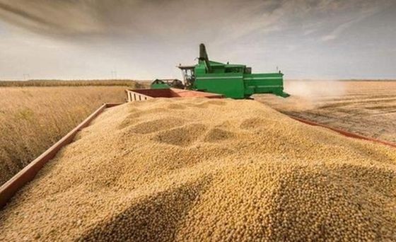 （示意圖：互聯網）