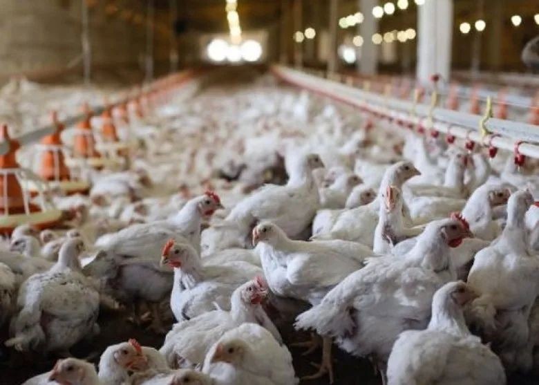 （示意圖：互聯網）