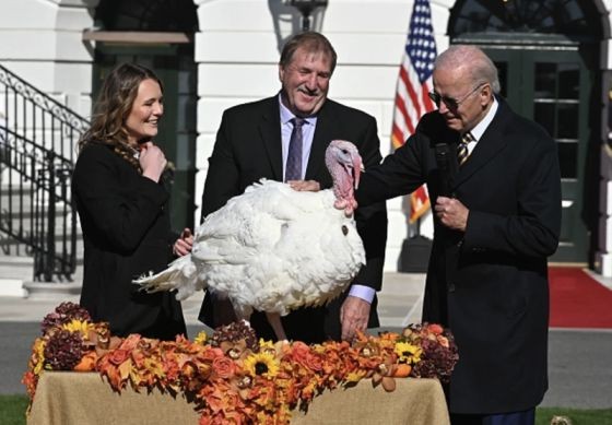 拜登“赦免”感恩節幸運火雞
