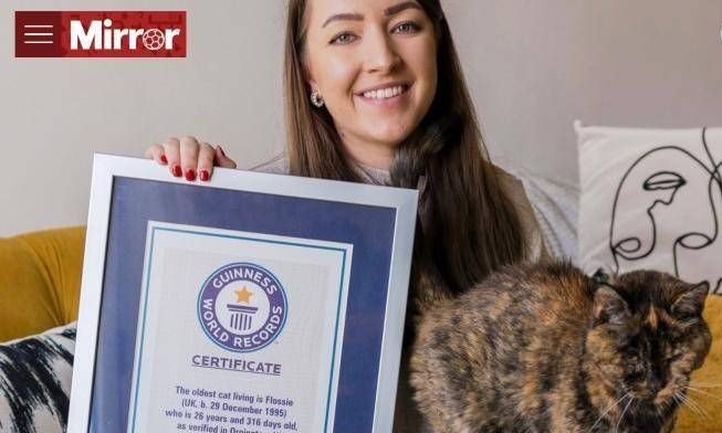 長壽貓相當於人類 120 多歲