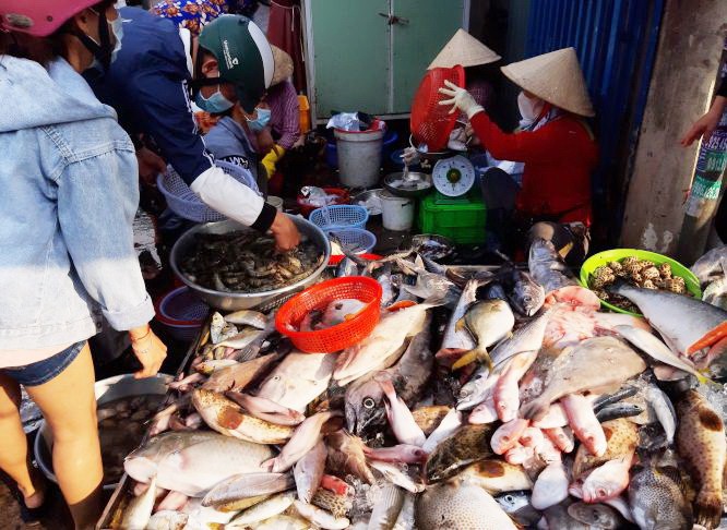 食品安全從生產、加工到經營環節都須得到確保。