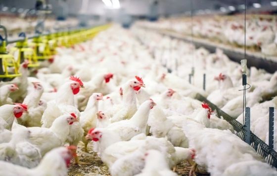 （示意圖：互聯網）