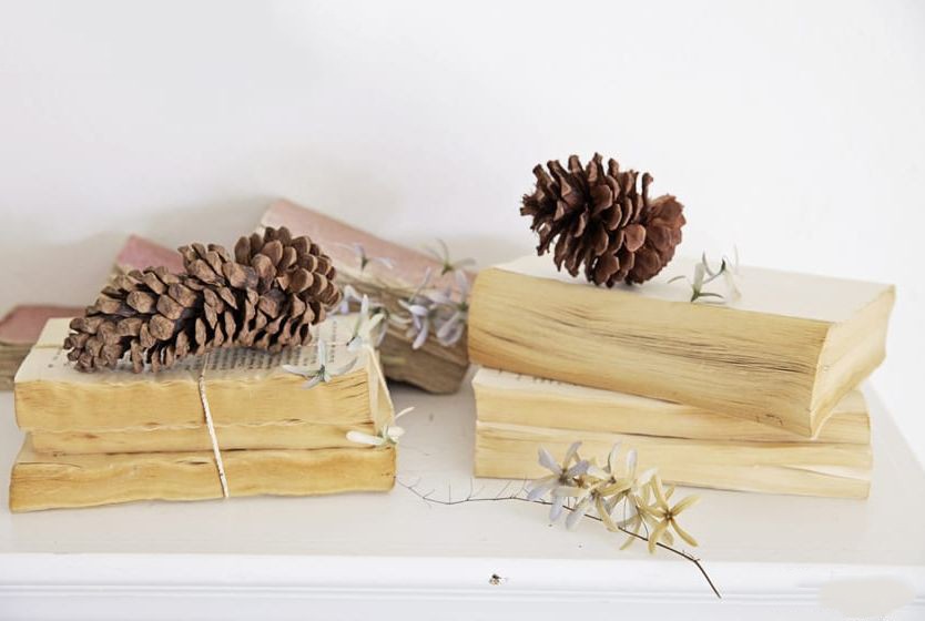 （示意圖：互聯網）