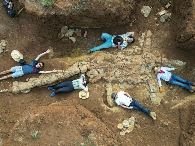 薄板龍化石體積龐大。（圖：互聯網）