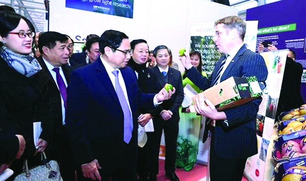 政府總理范明政會見荷蘭阿姆斯特丹市市長 ảnh 1