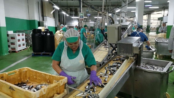 一名女工人在食品加工廠工作。（圖：互聯網）