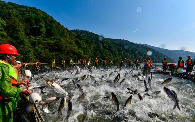 （示意圖：互聯網）