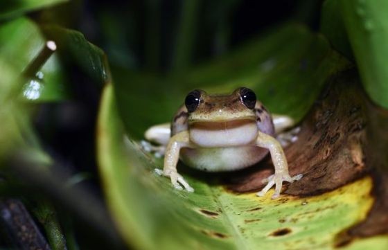 （示意图：互联网）