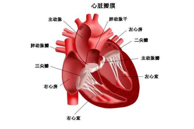 高血压患者为高危人群！