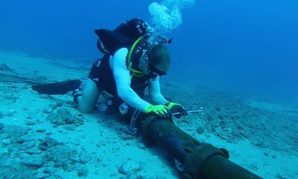 （示意图：互联网）