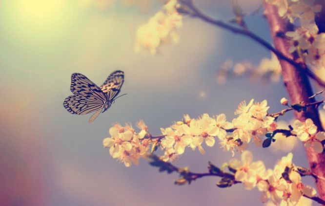 （示意图：互联网）