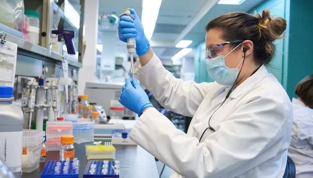 图为 Medicago 实验室一隅。（图：Medicago）