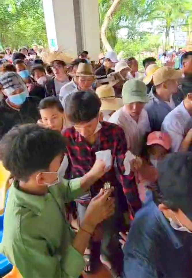 参观禁山缆车游客同比剧增，预兆天禁山即将迎来春游旺季。