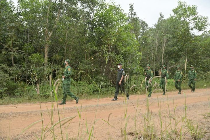 西区多省提防森林火灾