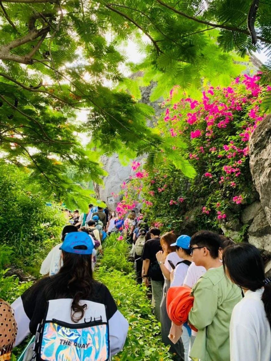 年轻人的溯源体验