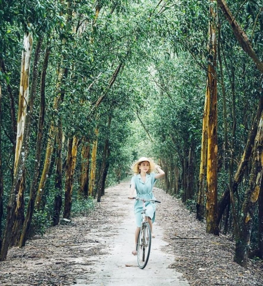 茶师林平静之美 茶师林平静之美