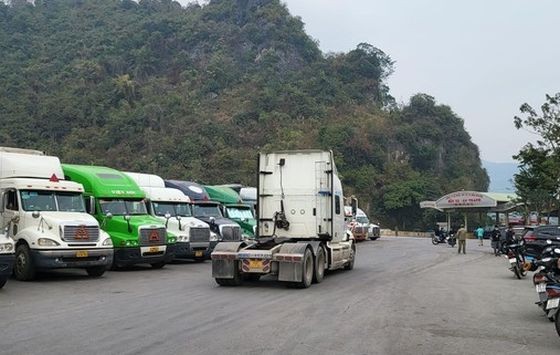 今年前两个月贸易顺差激增