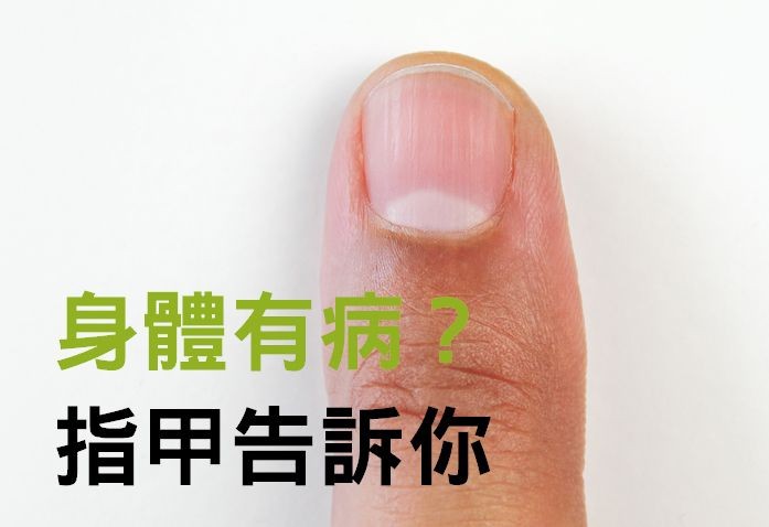 指甲月牙消失、有直线是器官生病？