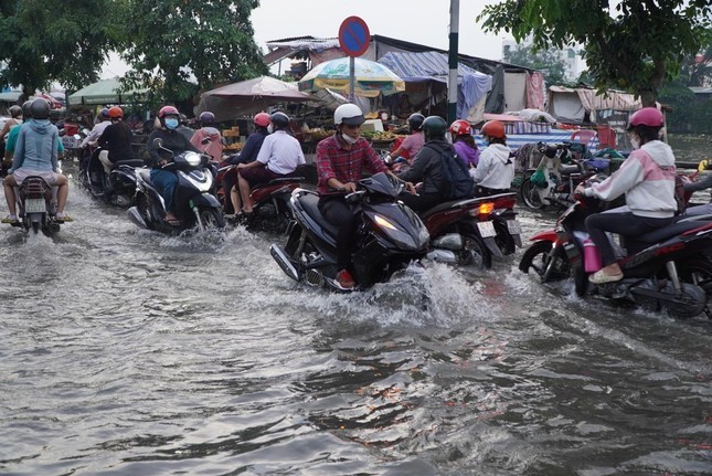 本市在两年内已成功解决12条街道因雨水和潮汛所造成的水淹情况。