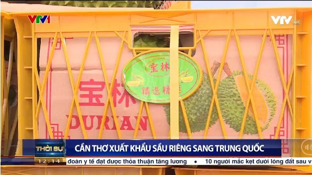 （图：VTV视频截图）