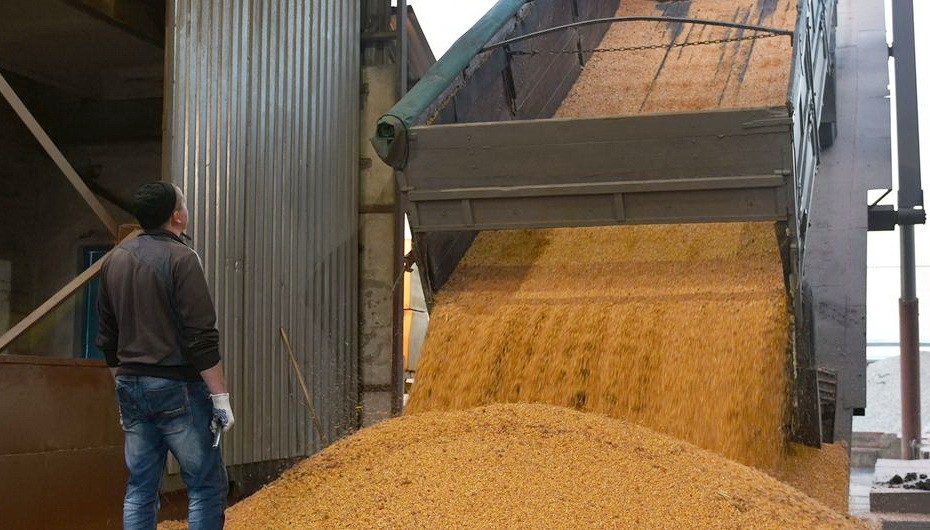 一辆卡车在乌克兰的一家加工厂卸货玉米谷物。（图：联合国）