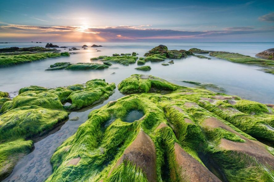 南澳礁滩拥有如诗似画的景色。 