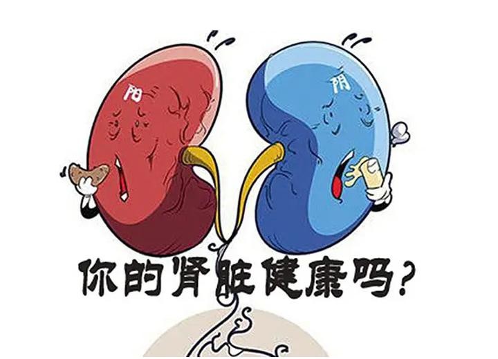 警惕12种因素引发慢性肾病