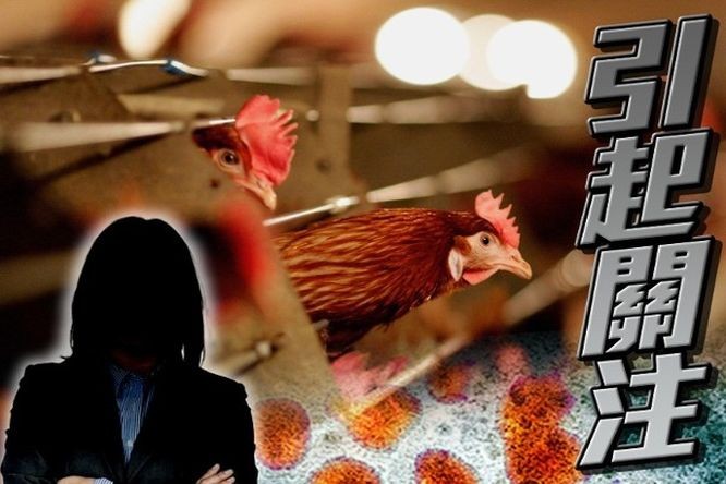 （示意图：互联网）